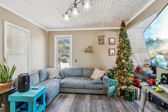 a living room with furniture and a christmas tree