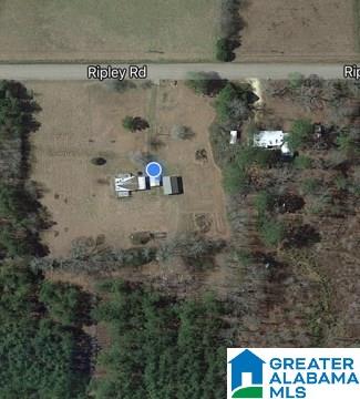 2208 Ripley Road Carbon Hill, AL 35549 - Photo 2 of 6 Gallery Image 2
