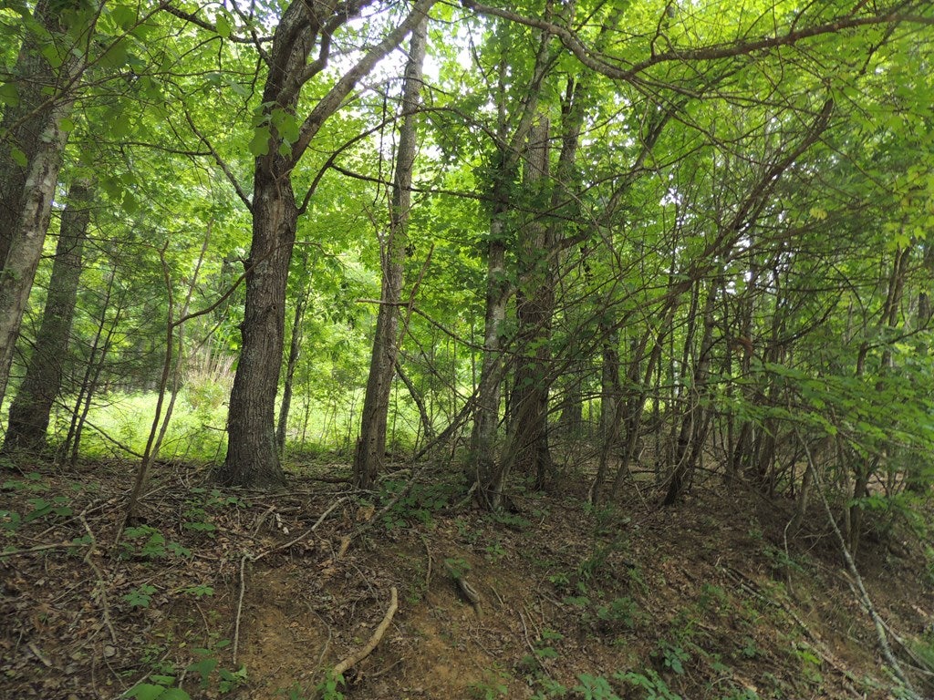 Tbd Turkey Knob Road, Unit 12 13 Independence, VA 24348 - Photo 6 of 7 Gallery Image 6