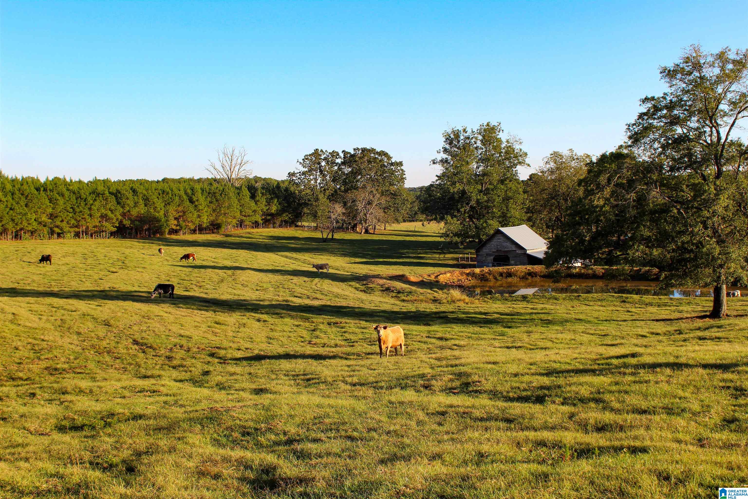 845 Turner Road Fayette, AL 35555 - Photo 9 of 61