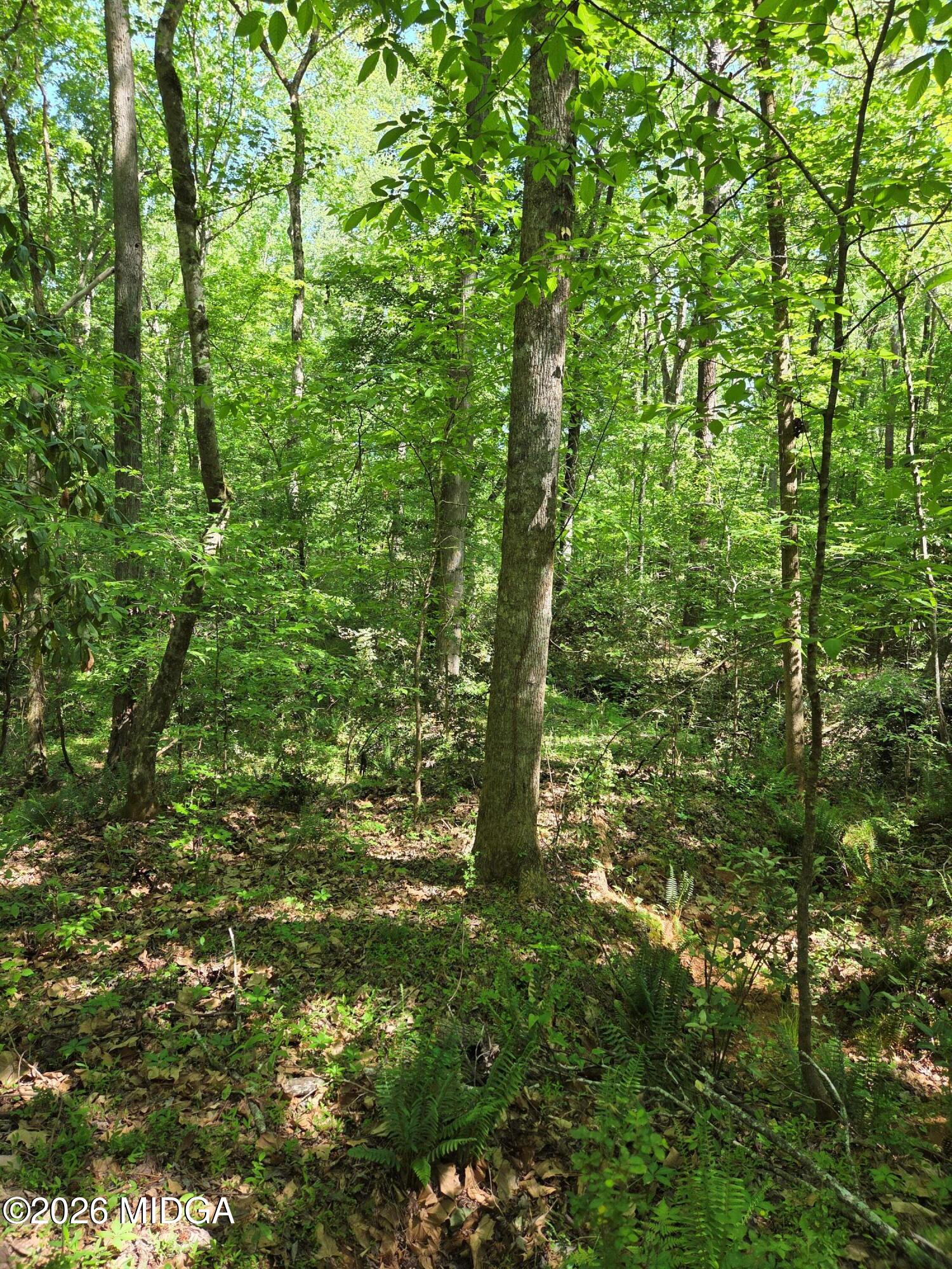 1898 Wood Valley Road Macon, GA 31211 - Photo 15 of 18 2