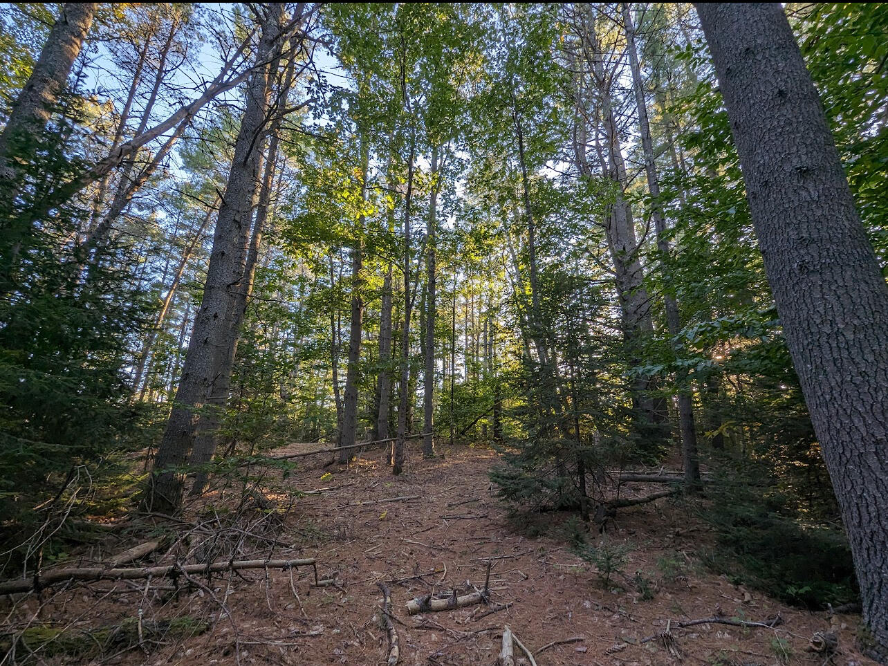 LAND (LOT A)