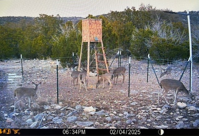 74-75 Other Rocksprings, TX 78880 - Photo 3 of 9