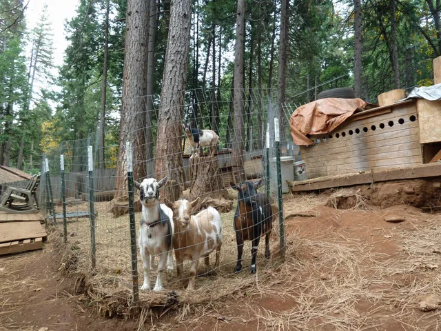 a view of a balcony with chairs