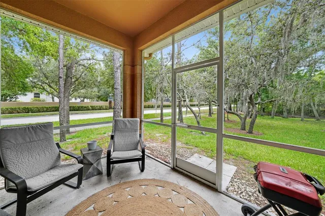 a view of a backyard with large trees