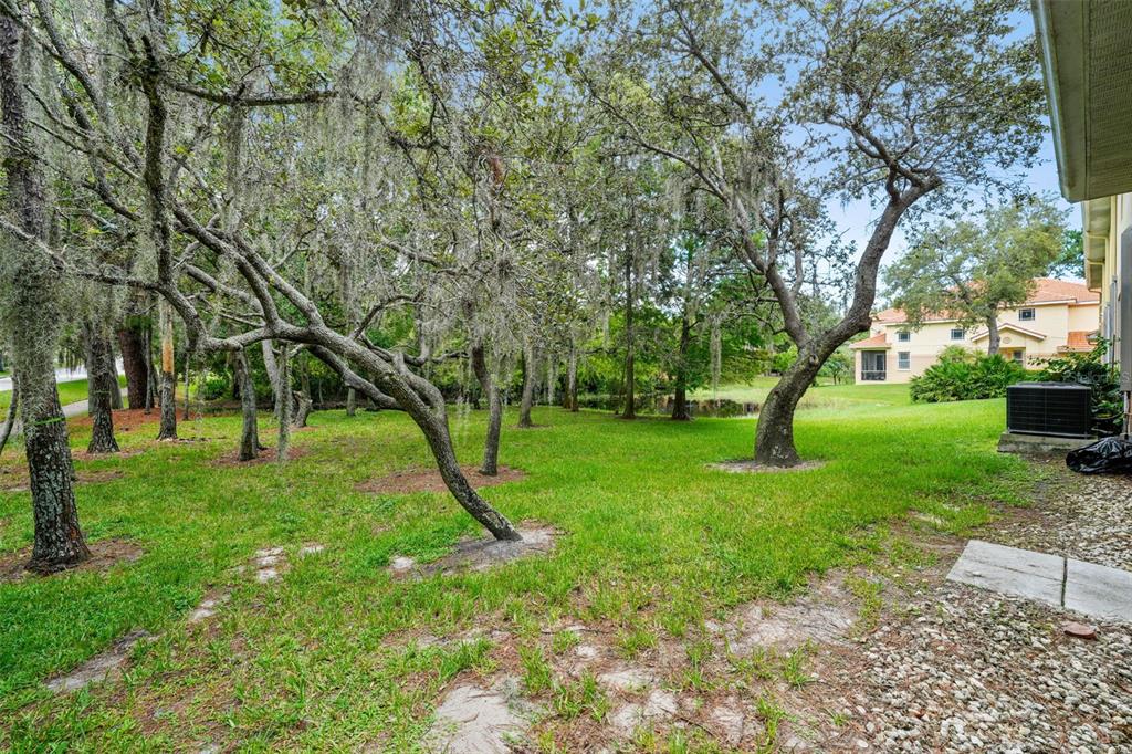 1404 Ridge Terrace Tarpon Springs, FL 34689 - Photo 21 of 38 a view of a backyard with large trees