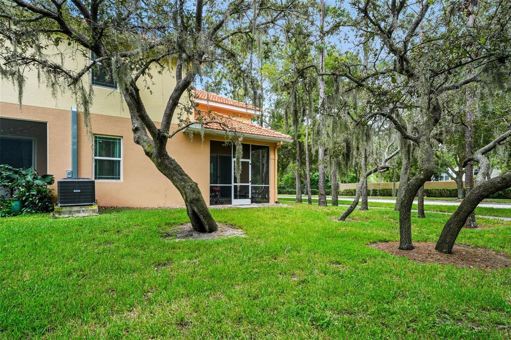 1404 Ridge Terrace Tarpon Springs, FL 34689 - Photo 36 of 38 a view of house with a backyard
