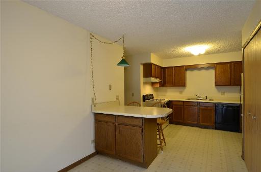 1104 Kane Street, Unit 1104 South Elgin, IL 60177 - Photo 6 of 14