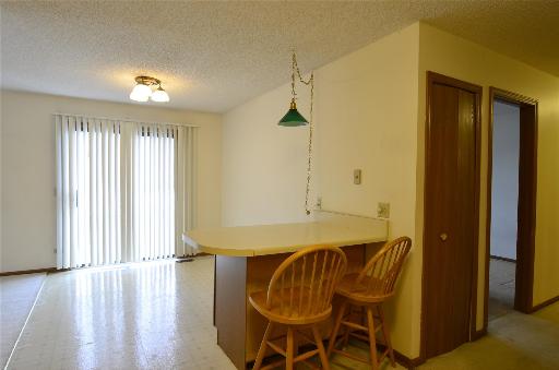 1104 Kane Street, Unit 1104 South Elgin, IL 60177 - Photo 8 of 14