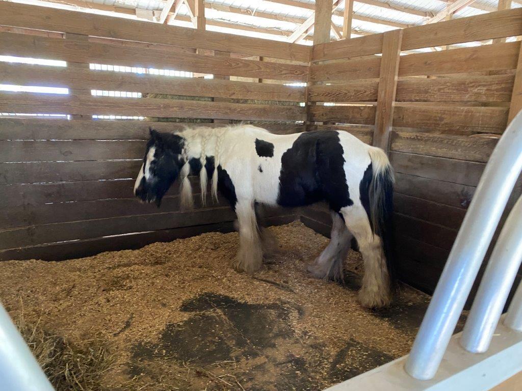 2141 B Road, Unit 4 Loxahatchee Groves, FL 33470 - Photo 23 of 43