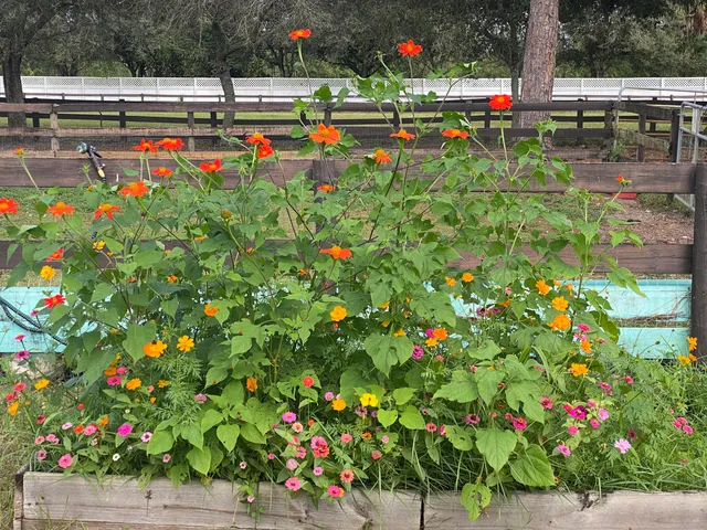 $1,550 | 2141 B Road, Unit 4, Loxahatchee Groves, FL 33470