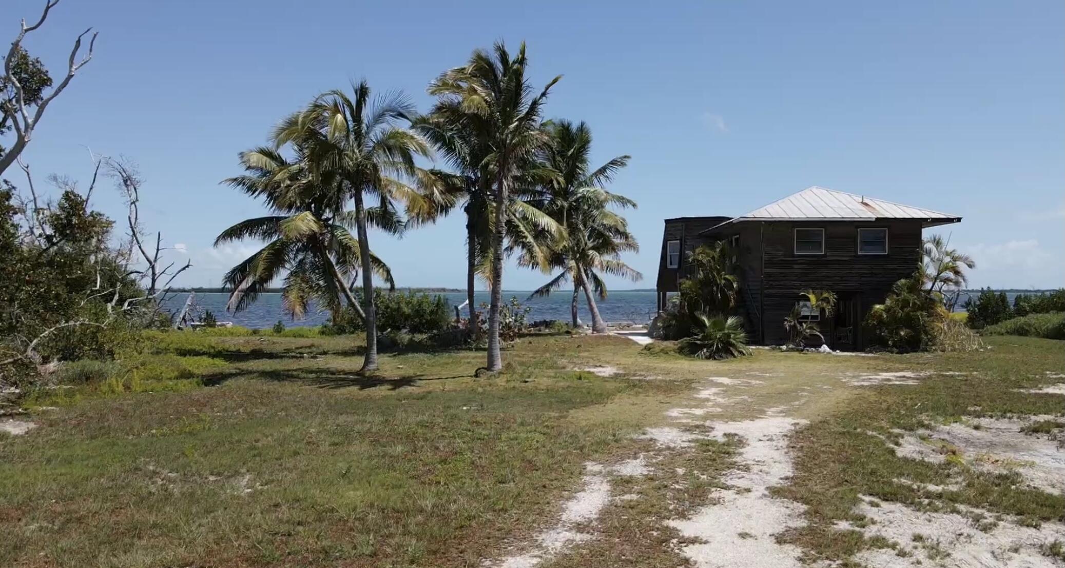 31625 Warner Street Big Pine Key, FL 33043 - Photo 11 of 30 a view of a house with a yard and tree s