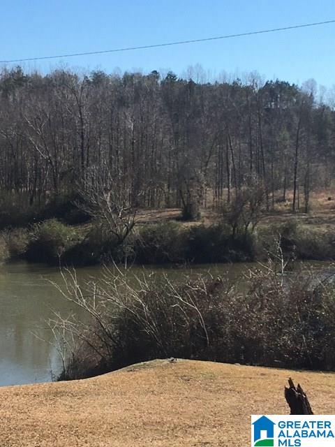 1075 Mountain View Road Cordova, AL 35550 - Photo 1 of 2