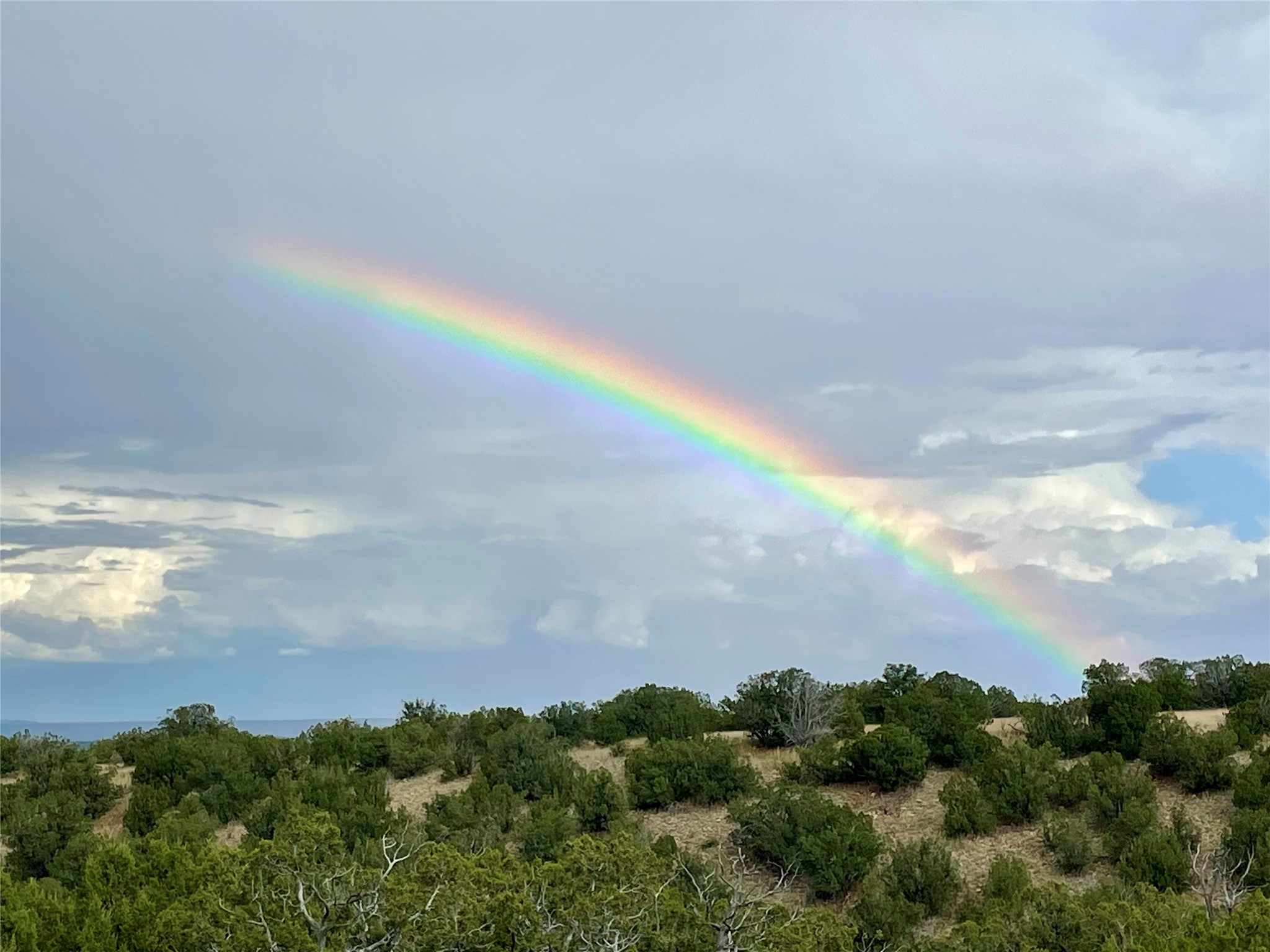 65 Grenfell Ranch Road Cerrillos, NM 87010 - Photo 32 of 46