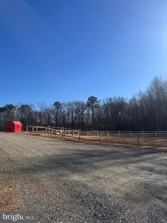 a view of road with trees in the background