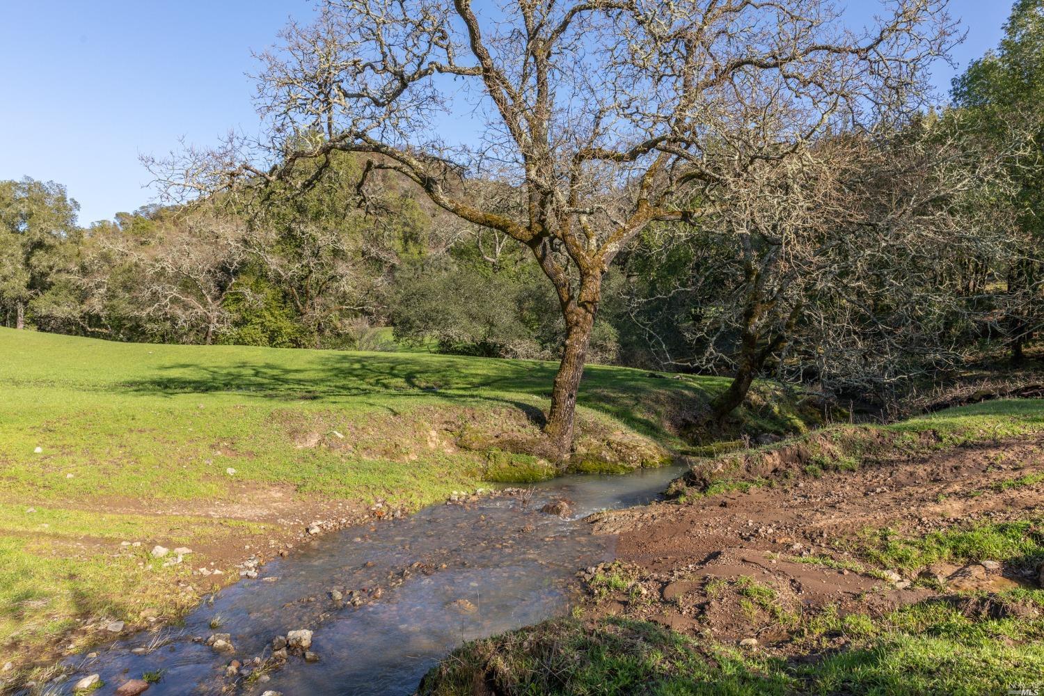 5285 Westside Road Healdsburg, CA 95448 - Photo 7 of 58