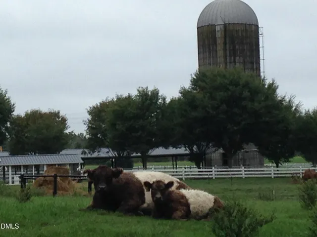 $449,000 | 520 Swim & Croquet, Pittsboro, NC 27312