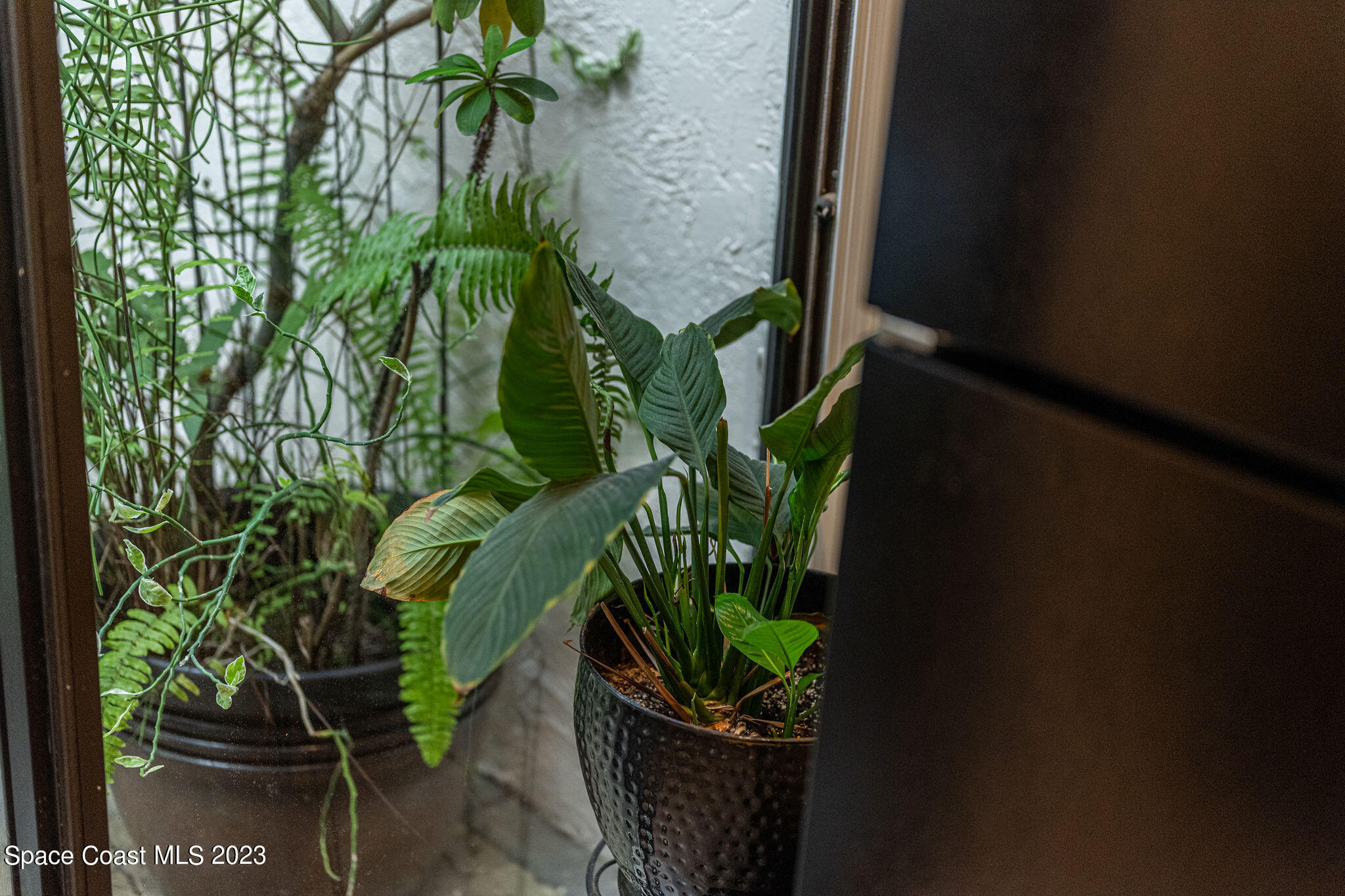 440 Maple Bluff Circle Melbourne, FL 32940 - Photo 60 of 92 JCP_2361