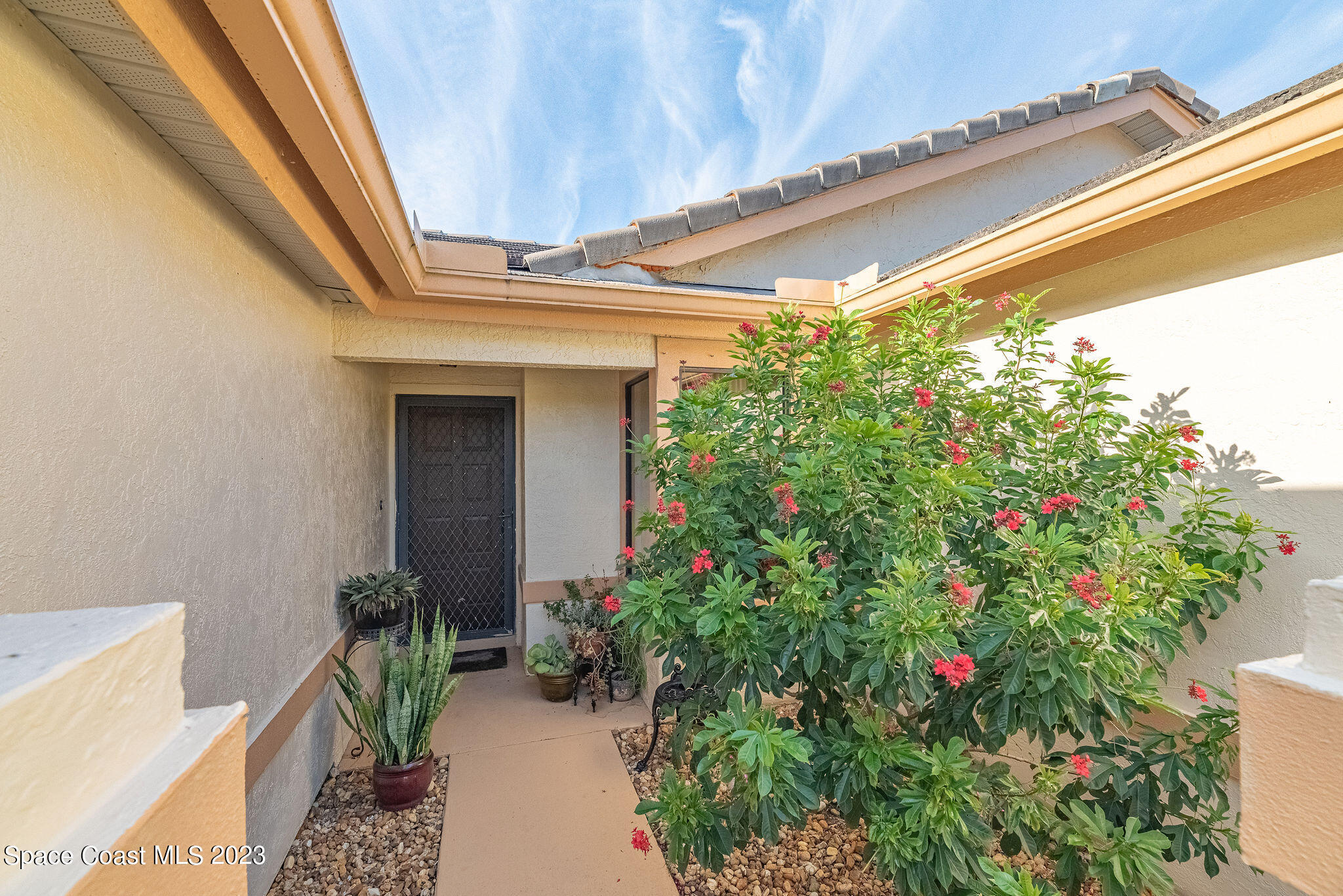 440 Maple Bluff Circle Melbourne, FL 32940 - Photo 7 of 92 a potted plant sitting in front of a door