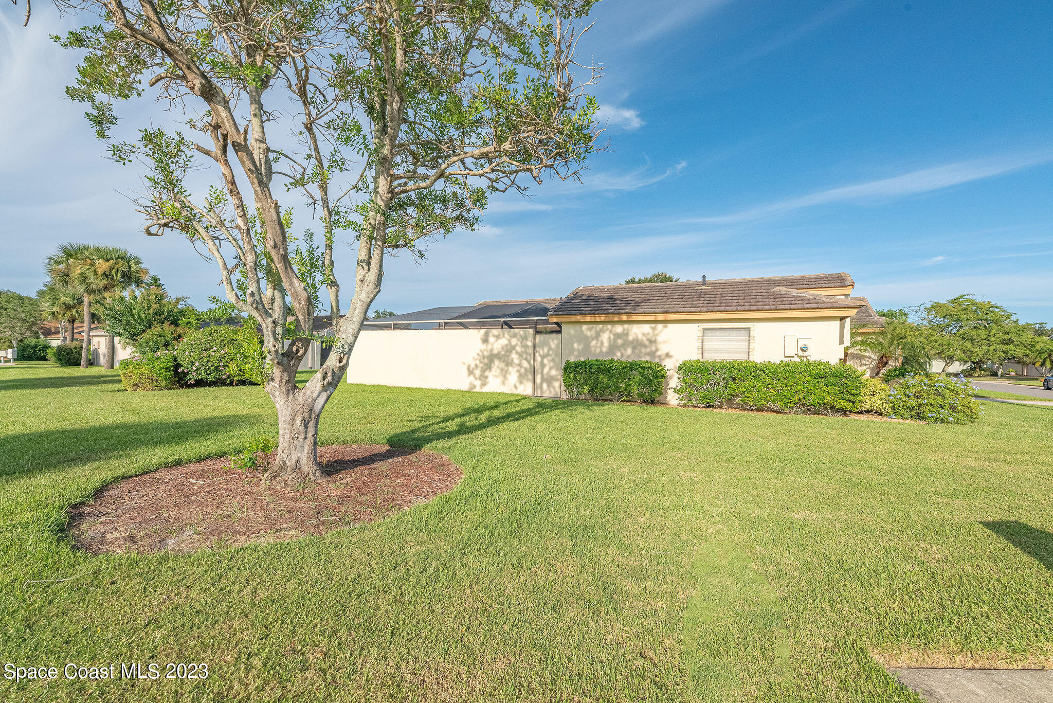 440 Maple Bluff Circle Melbourne, FL 32940 - Photo 87 of 92 a view of a big yard with palm trees