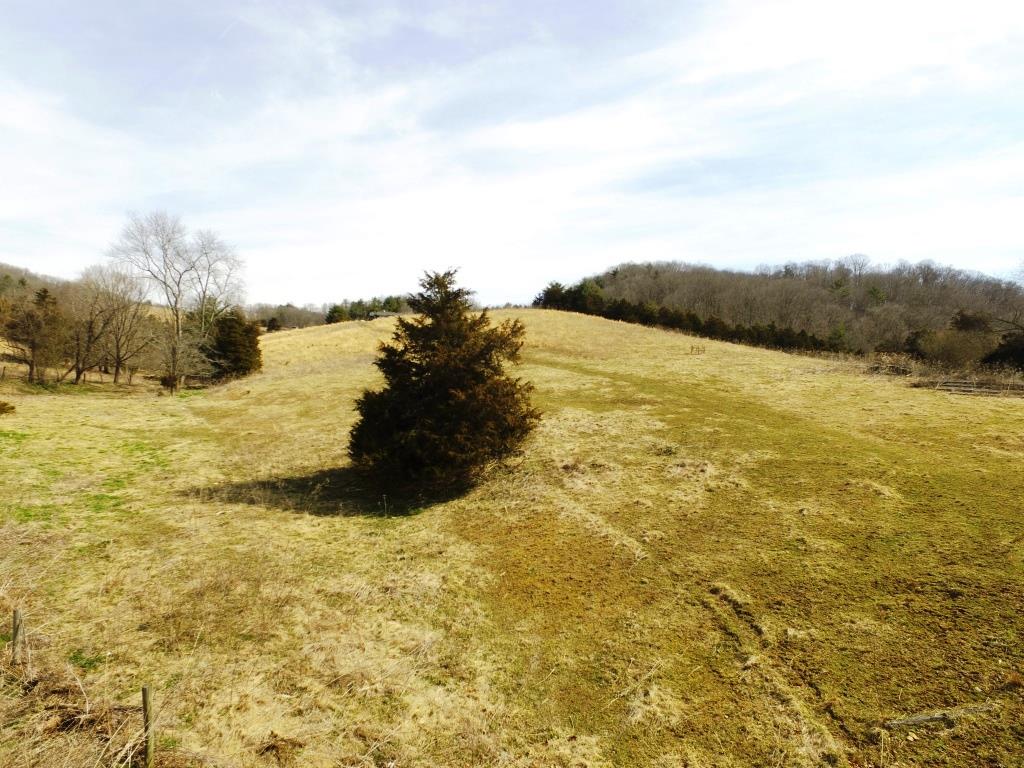 Tbd Reed Creek Drive Draper, VA 24324 - Photo 8 of 18 Gallery Image 8