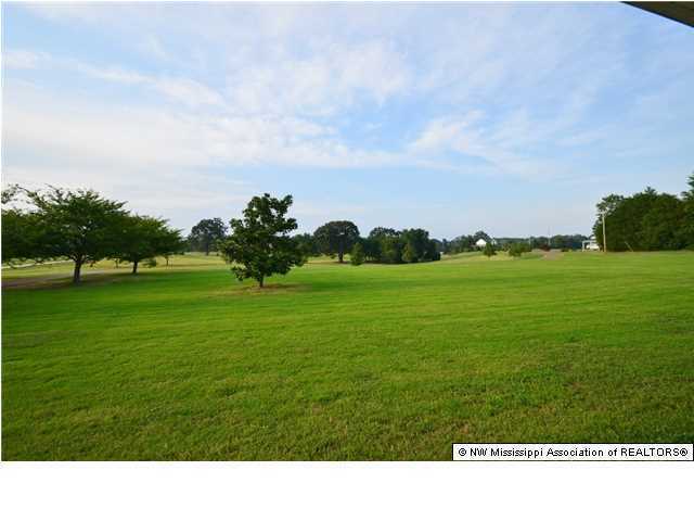 5315 Alphaba Road Coldwater, MS 38618 - Photo 18 of 18 Additional Photo