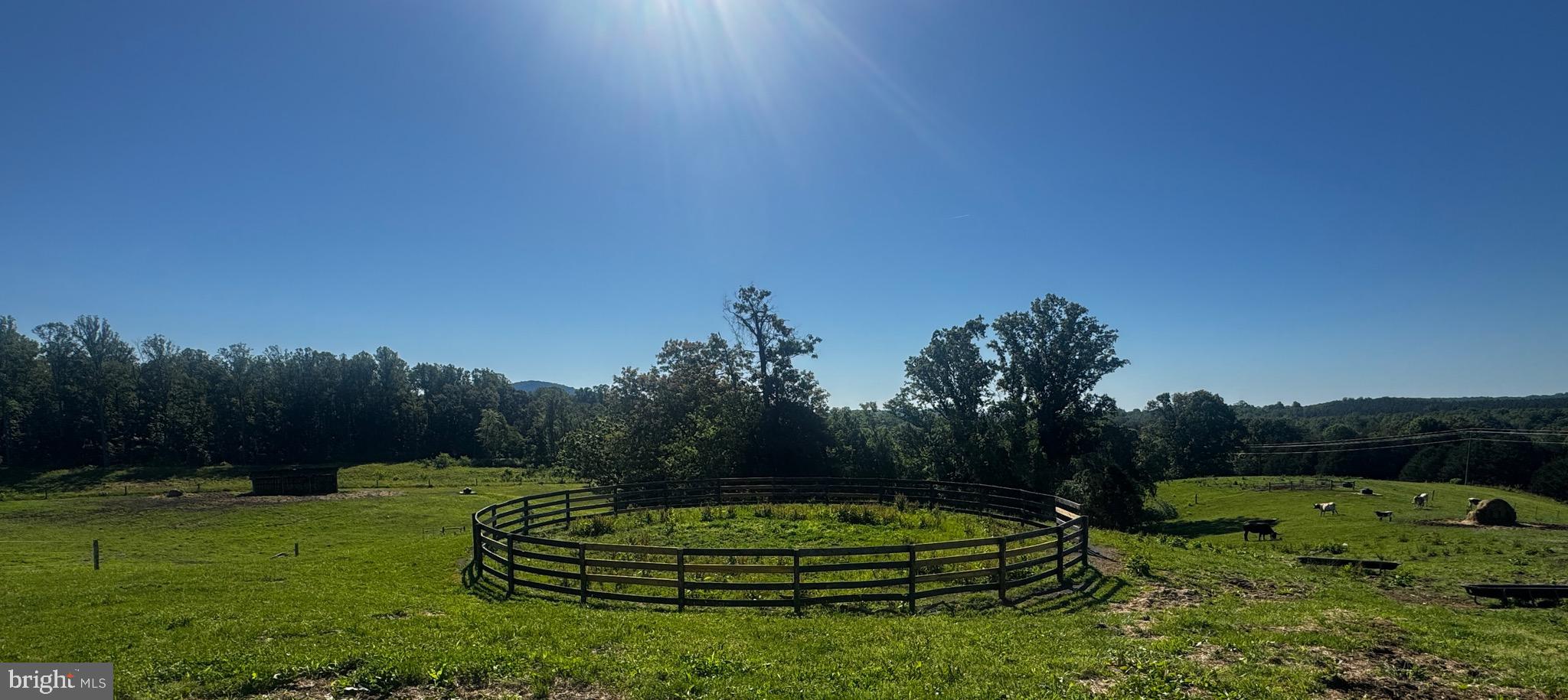 59 Harry Settle Road Castleton, VA 22716 - Photo 8 of 10