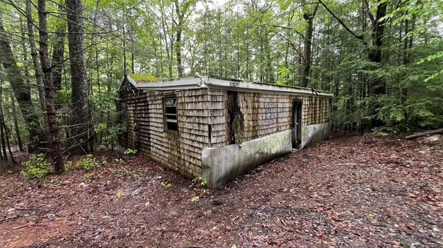 a view of plants and trees