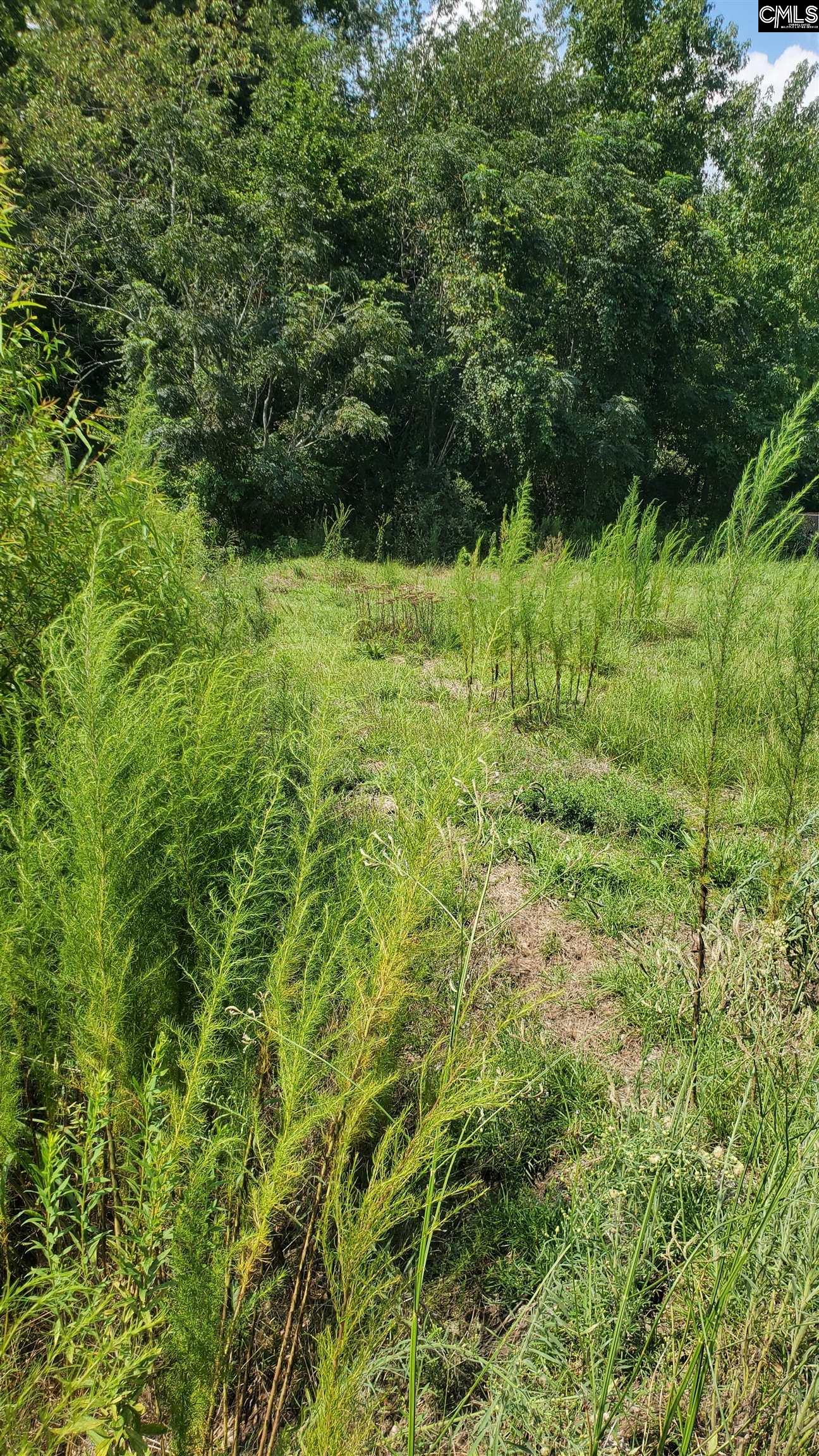 Ardis Road Pinewood, SC 29125 - Photo 2 of 6