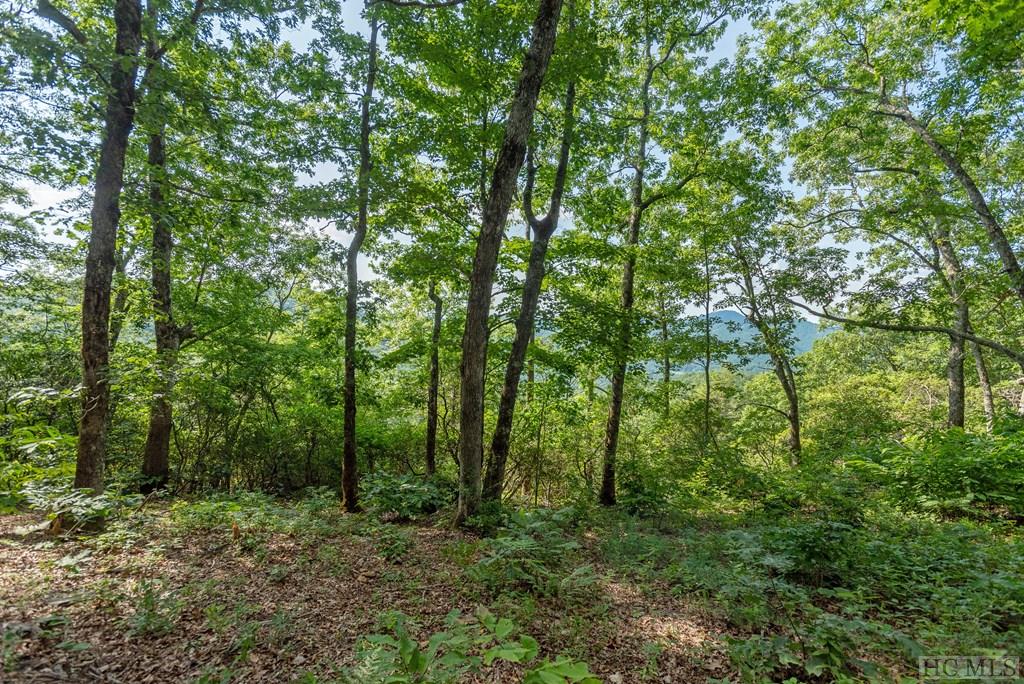 Lot P5 Springwater Road Glenville, NC 28736 - Photo 10 of 26 Gallery Image 10
