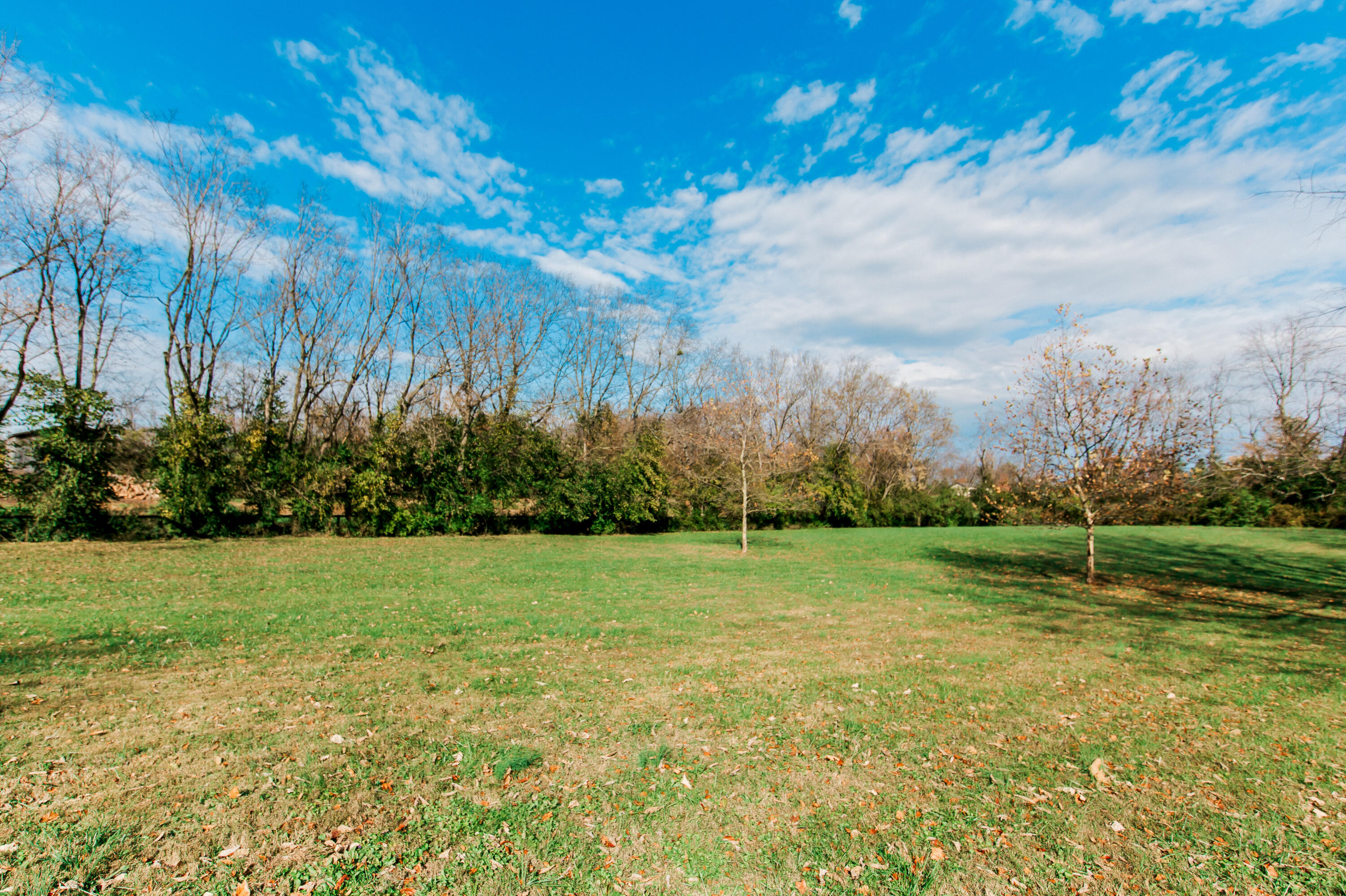 3981 Winchester Road Lexington, KY 40509 - Photo 6 of 28 3981 Winchester Rd-4