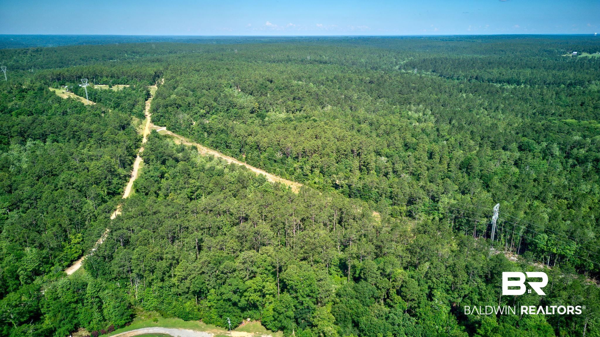 0 Evans Road Chunchula, AL 36521 - Photo 6 of 19