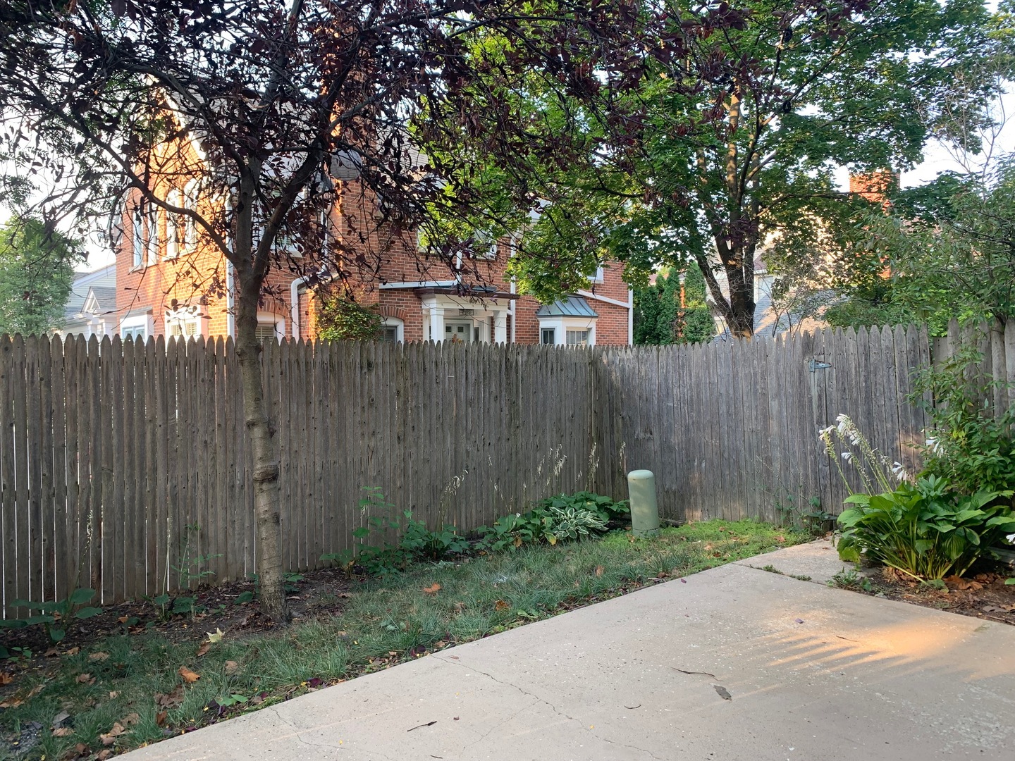 811 Hibbard Road, Unit C Wilmette, IL 60091 - Photo 9 of 19 a backyard of a house with plants and tree