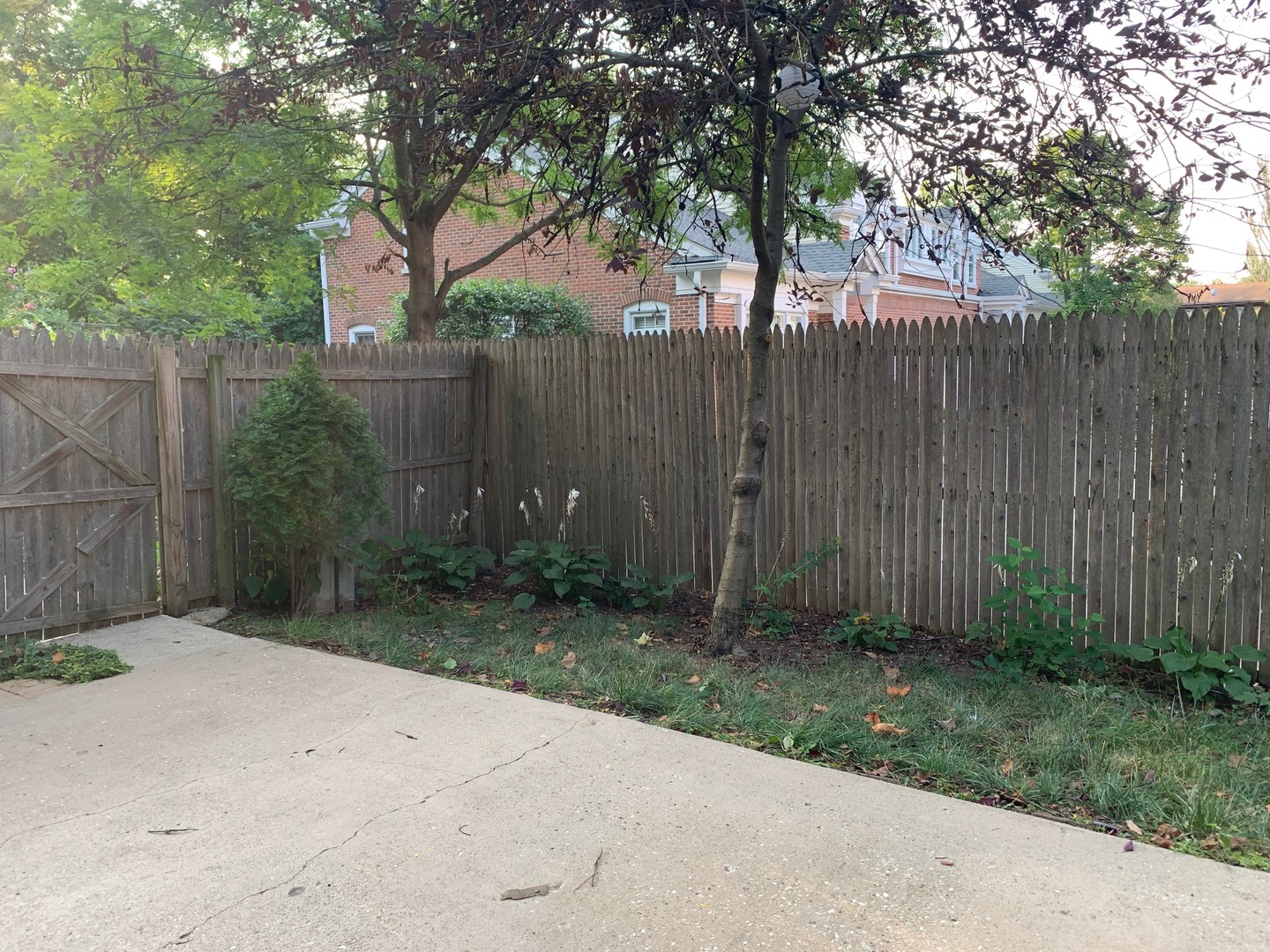811 Hibbard Road, Unit C Wilmette, IL 60091 - Photo 10 of 19 a backyard of a house with plants and trees with wooden fence