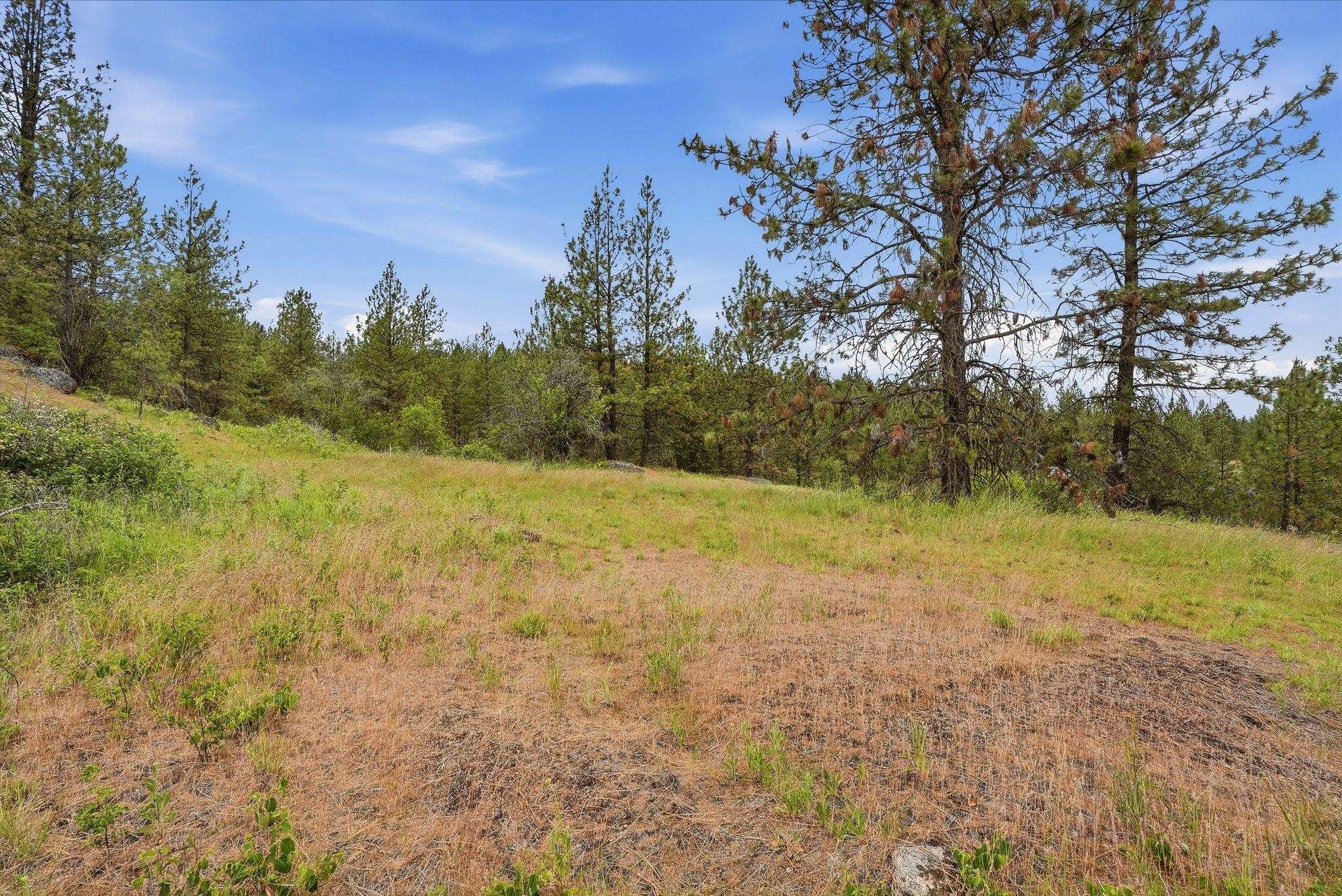 16107 North Austin Road Spokane, WA 99208 - Photo 37 of 45