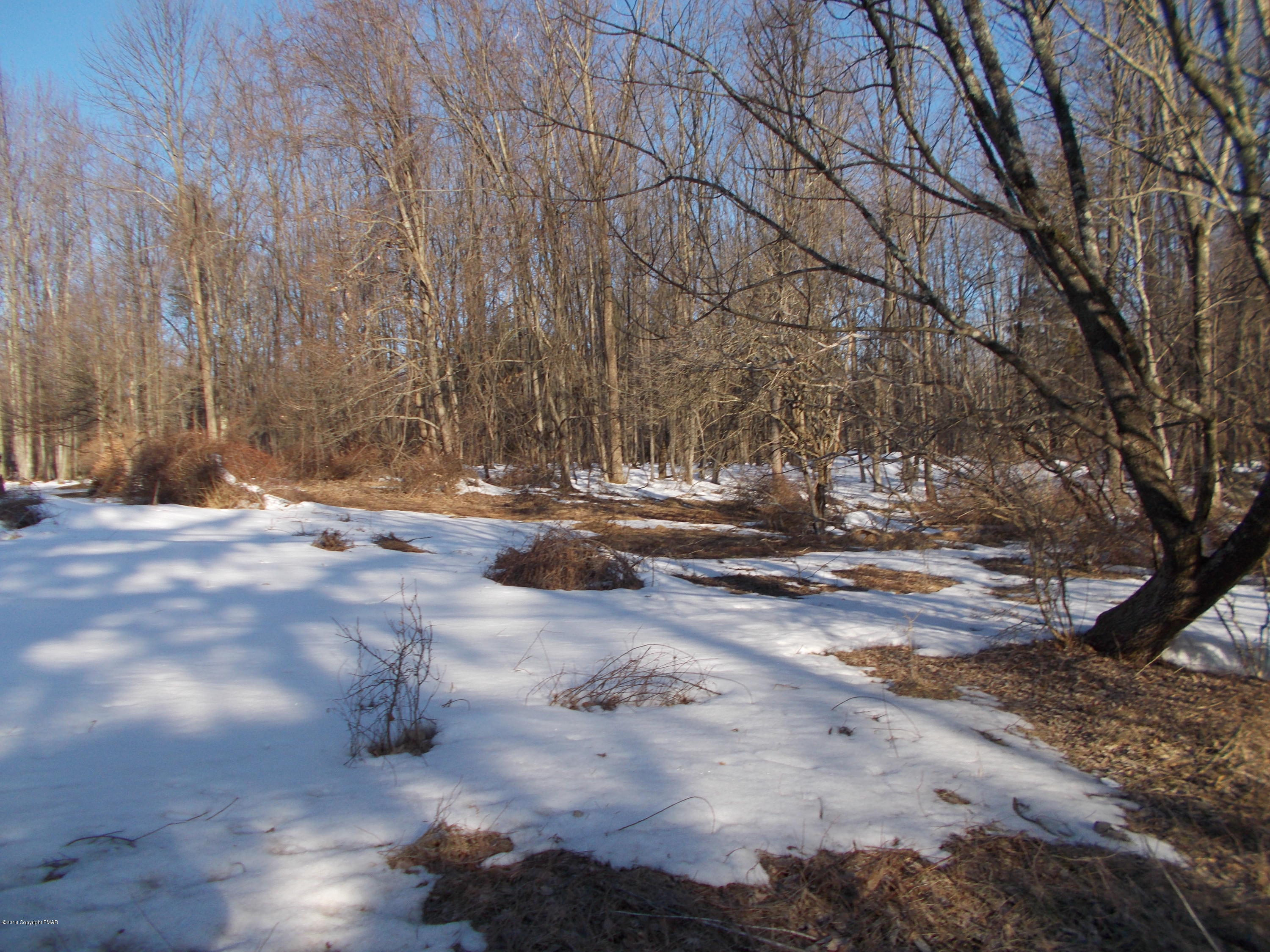 a view of dirt yard with a large tree