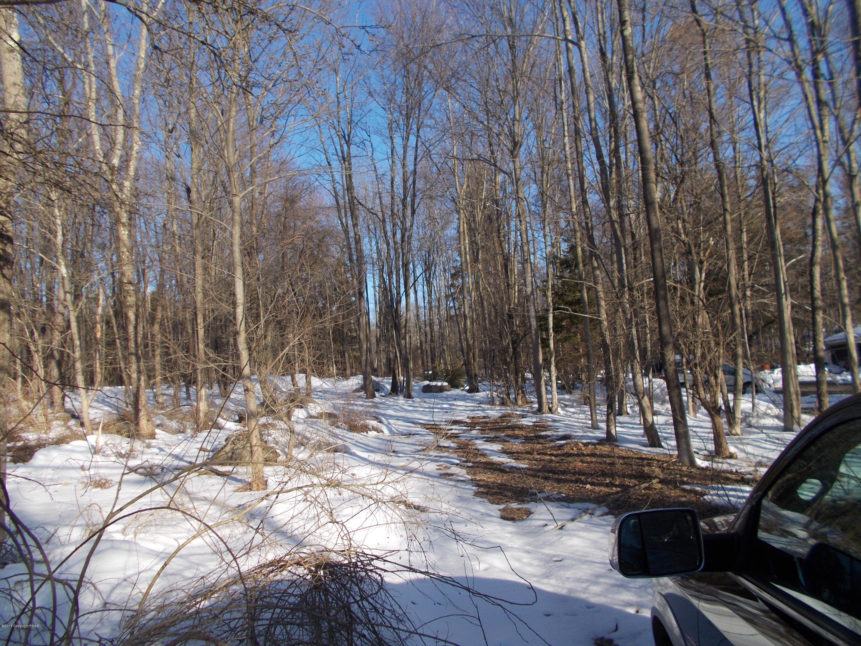 390 Rt Mountainhome Pa Cresco, PA 18326 - Photo 3 of 5 a view of a yard with trees