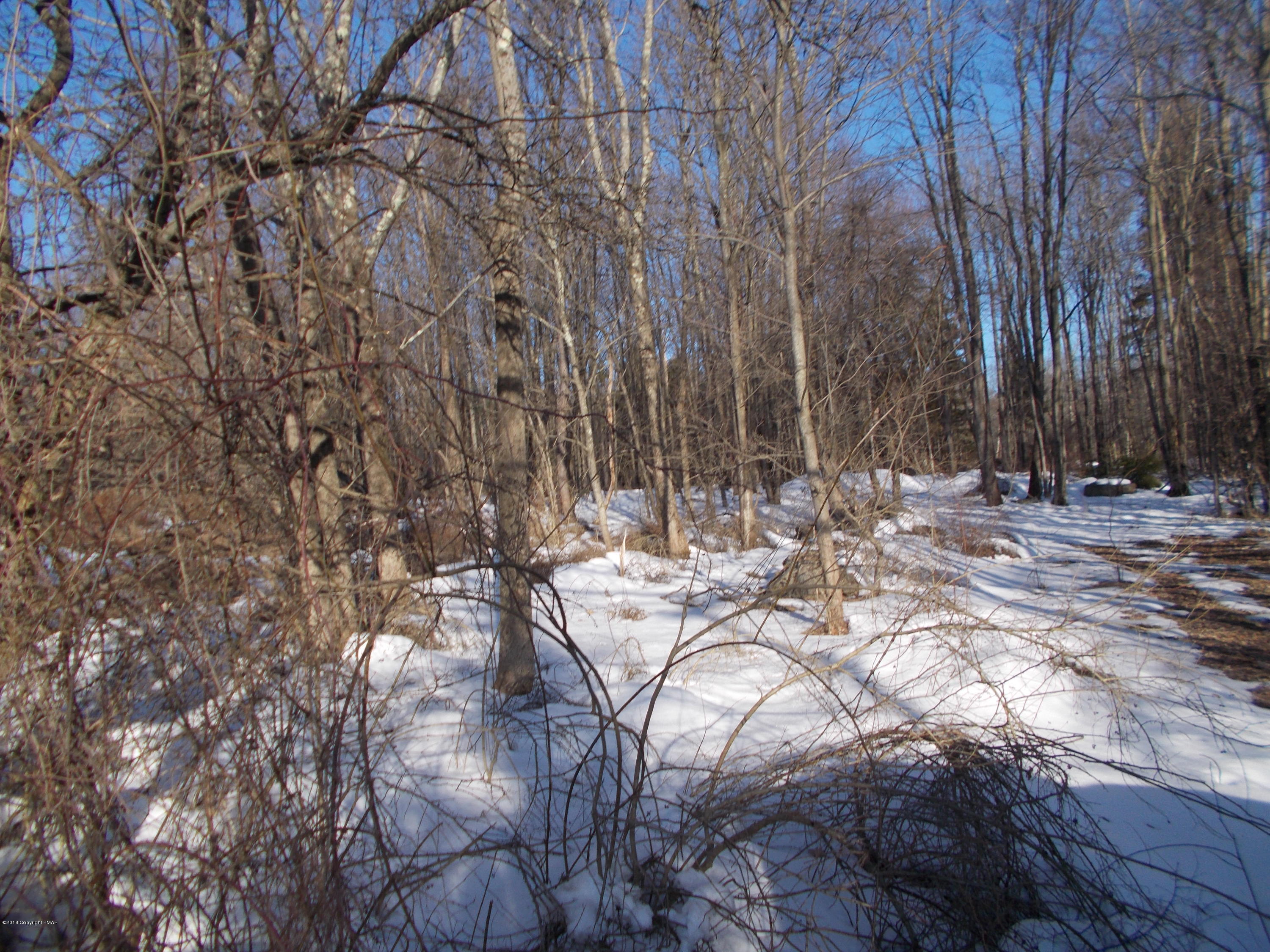 390 Rt Mountainhome Pa Cresco, PA 18326 - Photo 4 of 5 a view of outdoor space with sitting area