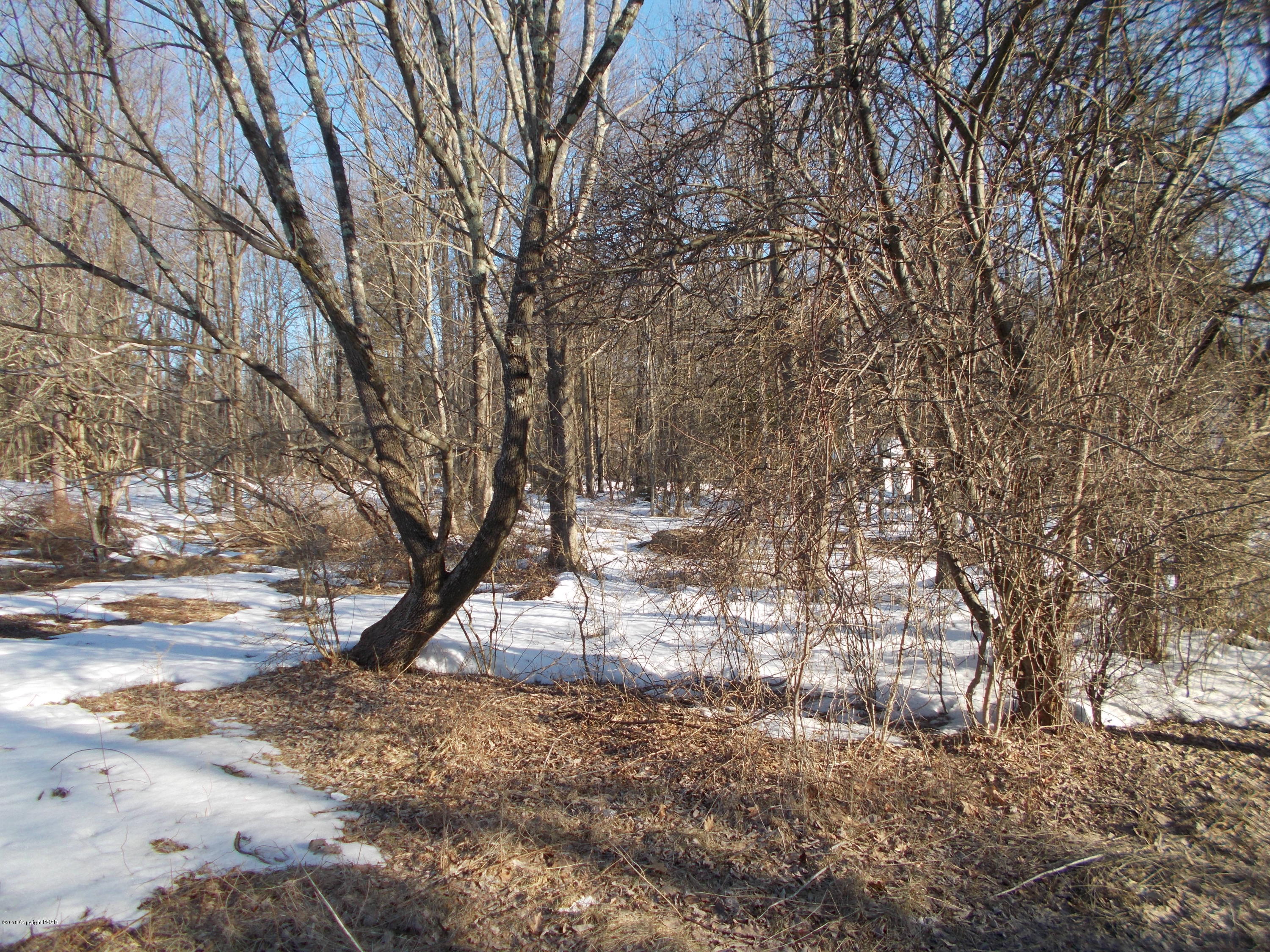 390 Rt Mountainhome Pa Cresco, PA 18326 - Photo 5 of 5 a view of outdoor space with trees