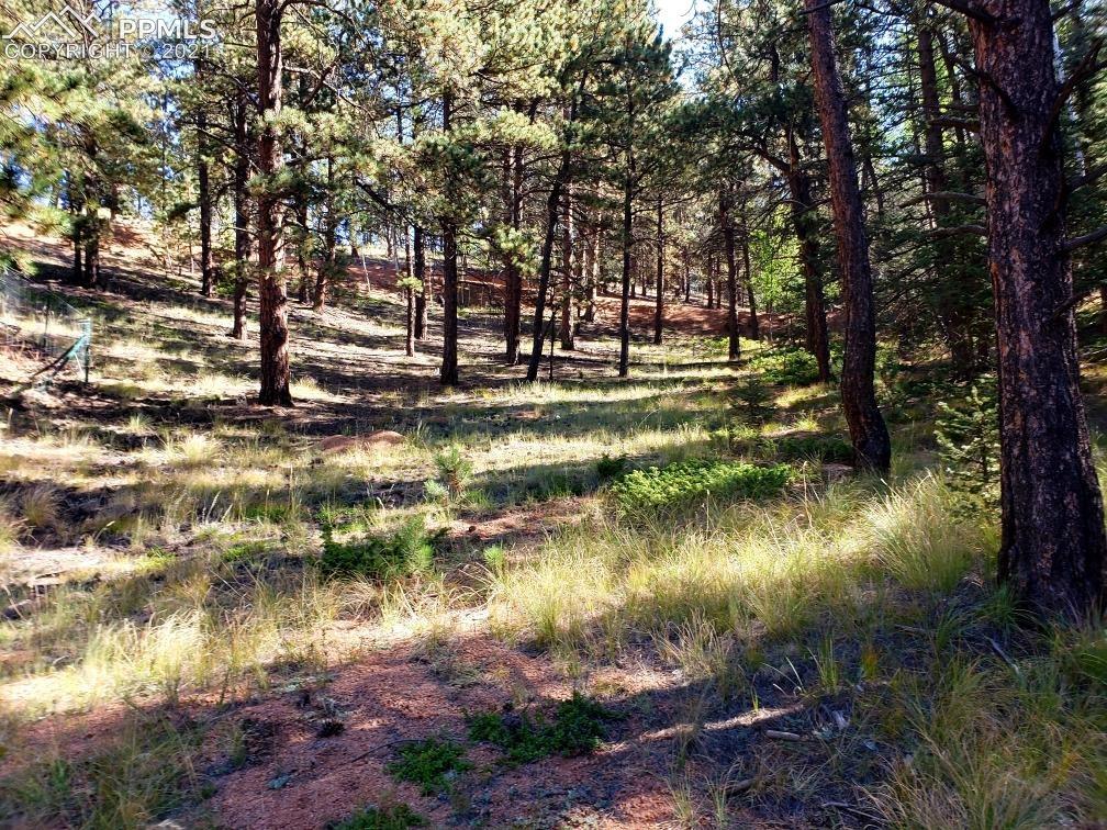 134 Spring Valley Circle Divide, CO 80814 - Photo 1 of 1 Gallery Image 1
