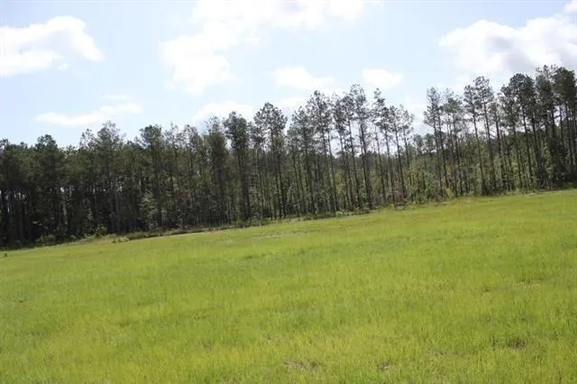 $58,000 | 29644 Billy Joe Road, Independence, LA 70443