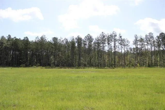 $58,000 | 29644 Billy Joe Road, Independence, LA 70443