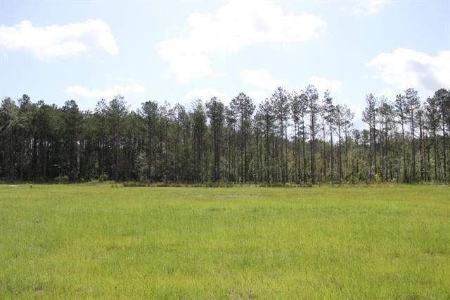 29644 Billy Joe Road Independence, LA 70443 - Photo 2 of 5