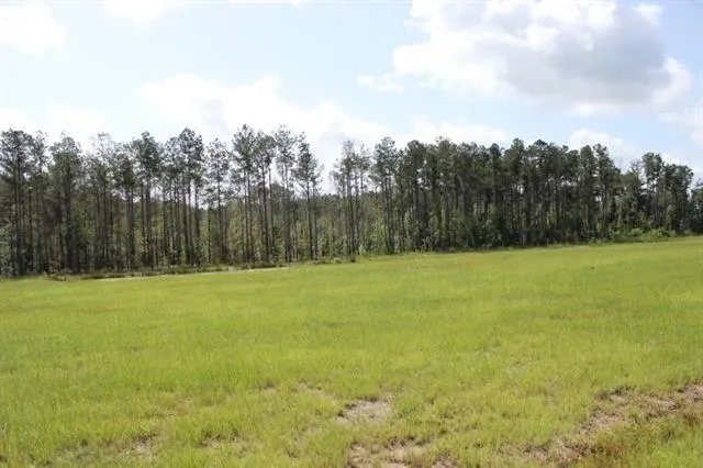 $58,000 | 29644 Billy Joe Road, Independence, LA 70443