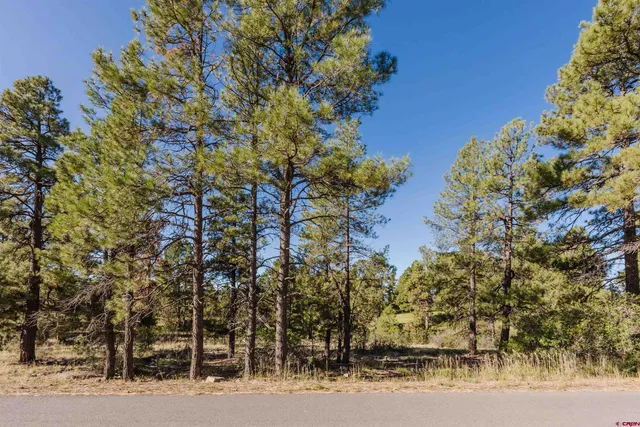 $55,000 | 79 East Golf Place, Pagosa Springs, CO 81147