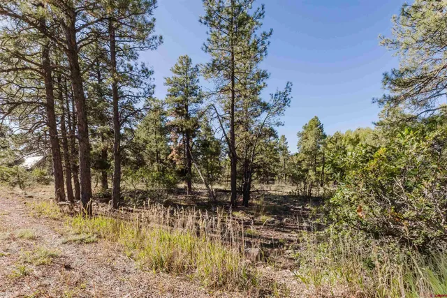 $55,000 | 79 East Golf Place, Pagosa Springs, CO 81147