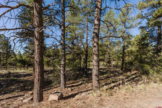 $55,000 | 79 East Golf Place, Pagosa Springs, CO 81147