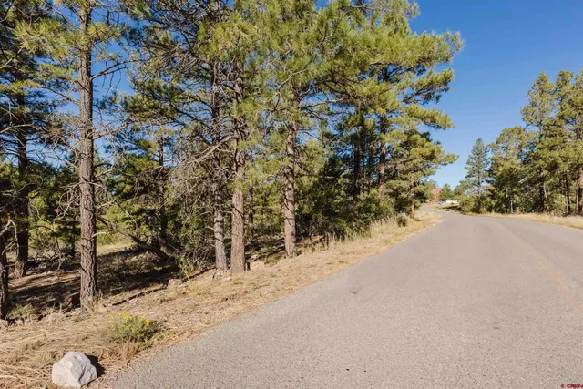 $55,000 | 79 East Golf Place, Pagosa Springs, CO 81147