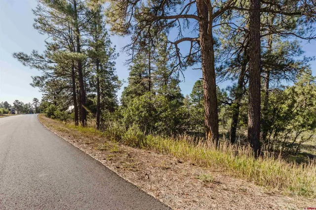 $55,000 | 79 East Golf Place, Pagosa Springs, CO 81147