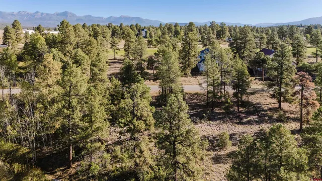 $55,000 | 79 East Golf Place, Pagosa Springs, CO 81147